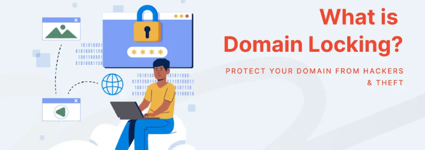 What Is Domain Locking?